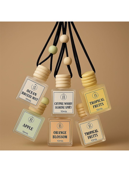 5 pack CAR FRAGRANCE (10mls)