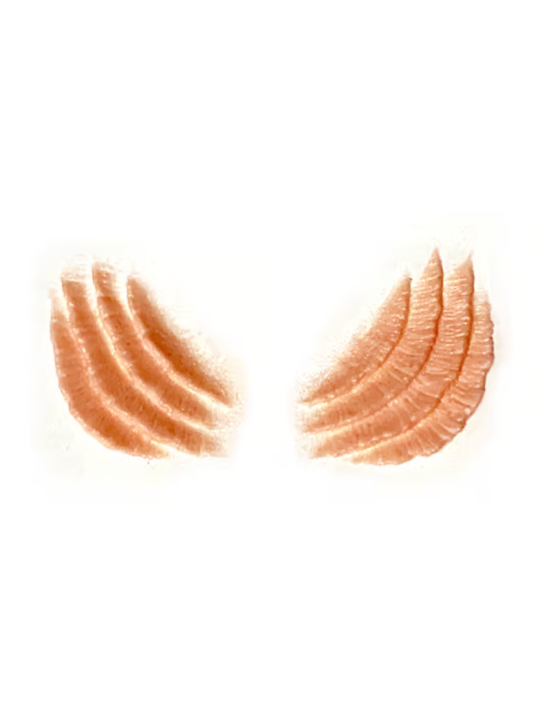 Mermaid Gills