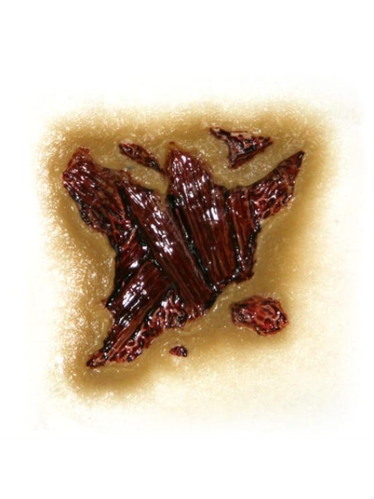 Zombie flesh decay